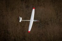 D-Power ASW-17 - 350cm Scale Segler voll-GFK ARF+