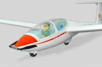 Phoenix ASK-21 3.2m - E-Version Segler ausbaubar zum Elektrosegler
