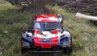 AM10SC V2 Short Course Truck Brushless 1:10, 4WD, RTR rot/schwarz