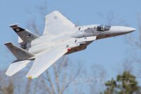 Freewing F-15C Eagle Super Scale High Performance 90mm...