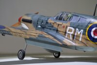 Phoenix P40 Warhawk GP/EP 35-55CC SCALE 18% ARF - 204 cm