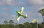 Flex Innovations RV-8 60E G2 SUPER PNP orange night Dualsky-motor