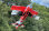 Flex Innovations ULTIMATE 70CC G1  jd-red arf