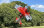 Flex Innovations ULTIMATE 70CC G1  jd-red arf