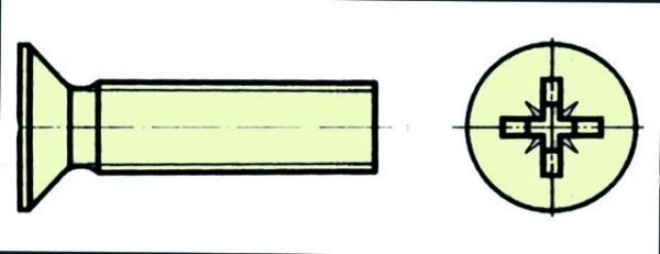 Nylonschr. SK mit Kreuzsch M5X40 (VE=10St.)