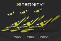 D-Power E-TERNITY² V200 - 200cm Elektrosegler voll-GFK ARF+