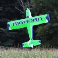 49" Bighorn Pro ARF (Landeklappen) - Grün 1,24m