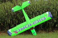 49" Bighorn Pro ARF (Landeklappen) - Grün 1,24m