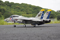 Freewing F-14 Tomcat doppel 80mm EDF Jet - ARF PLUS