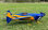 Flex Innovations VENTIQUE 60E G2 PRO ARF Gelb