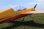 85" Yak 54 EXP Yellow/Red 2,16m