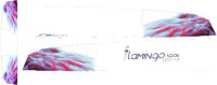 Flamingo 2006 Segler Design