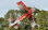 Flex Innovations ULTIMATE FP 5E PNP spnp jd-red