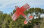 Flex Innovations ULTIMATE FP 5E PNP spnp jd-red