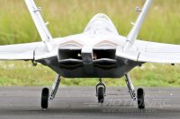 Freewing F-22 Raptor High Performance 70mm EDF Jet – PNP