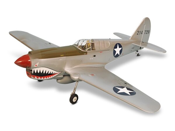 Phoenix P40 Kitty Warhawk 20CC GP/EP ARF - 161 cm