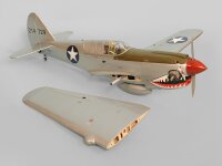 Phoenix P40 Kitty Warhawk 20CC GP/EP ARF - 161 cm