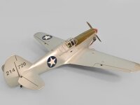 Phoenix P40 Kitty Warhawk 20CC GP/EP ARF - 161 cm