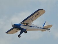 Phoenix PA 18 Super Cub 20-26CC GP/EP ARF - 230 cm