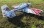 Flex Innovations RV-8 60E G2 SUPER PNP red-decal night dualsky-motor