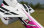 Flex Innovations QQ YAK 55 10E SUPER PNP red day dualsky-motor