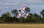 Flex Innovations QQ YAK 55 10E SUPER PNP red day dualsky-motor
