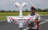 Flex Innovations MAMBA 10 G2 SUPER PNP red dualsky-motor
