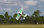 Flex Innovations QQ EXTRA 300G2 SUPER PNP 4s night green dualsky-motor