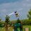 Blade 130 S BNF